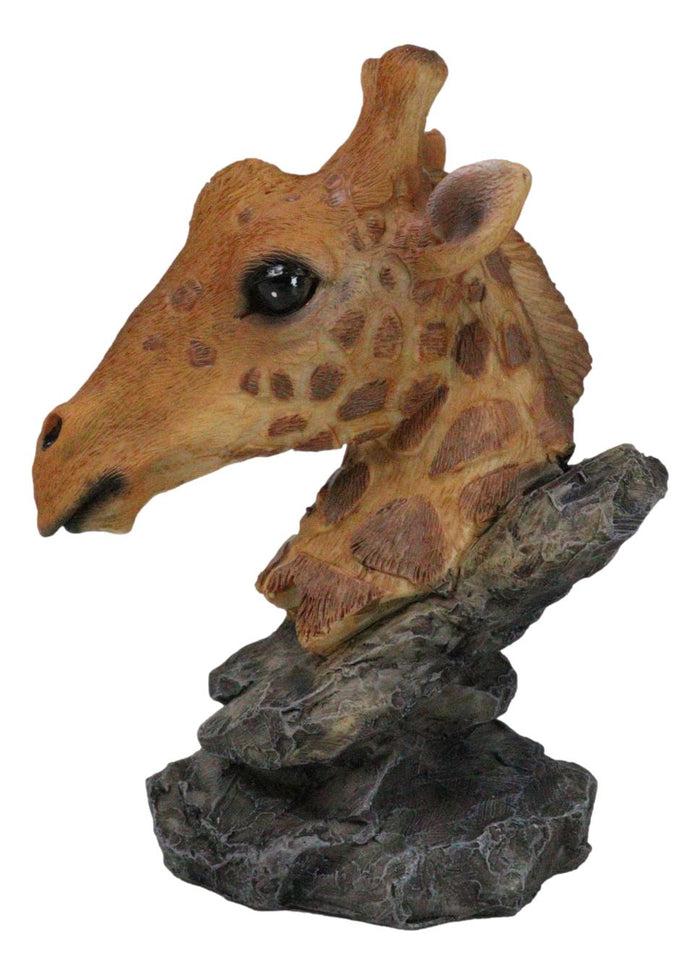 Ebros Gift Safari African Savannah Masai Giraffe Head Bust On Rock Steppe Figurine
