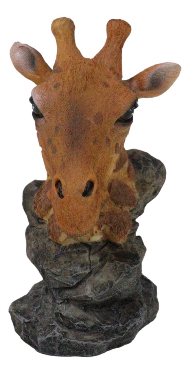 Ebros Gift Safari African Savannah Masai Giraffe Head Bust On Rock Steppe Figurine