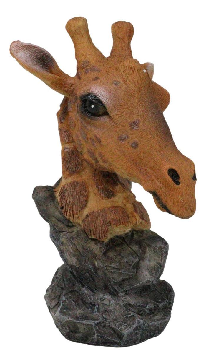 ebros gift Safari African Savannah Masai Giraffe Head Bust On Rock Steppe Figurine