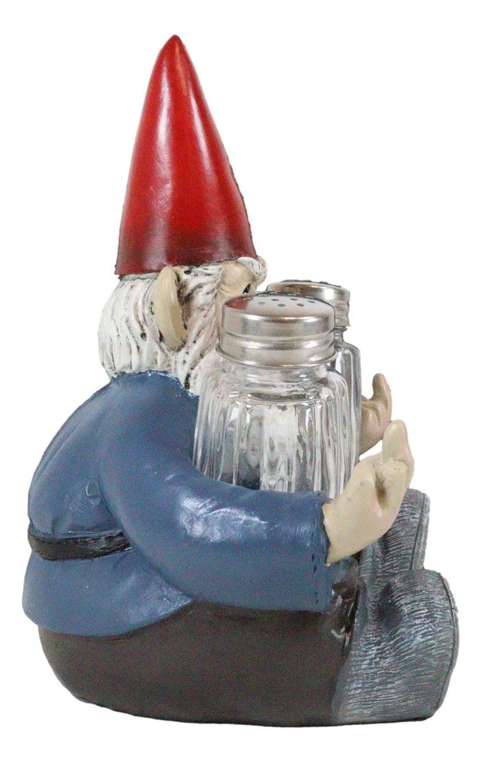 Ebros Gift Salty Rude Mr Gnome Flipping The Bird Bugger Off Salt And Pepper Shakers Holder