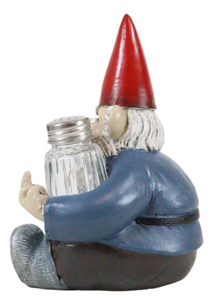 Ebros Gift Salty Rude Mr Gnome Flipping The Bird Bugger Off Salt And Pepper Shakers Holder
