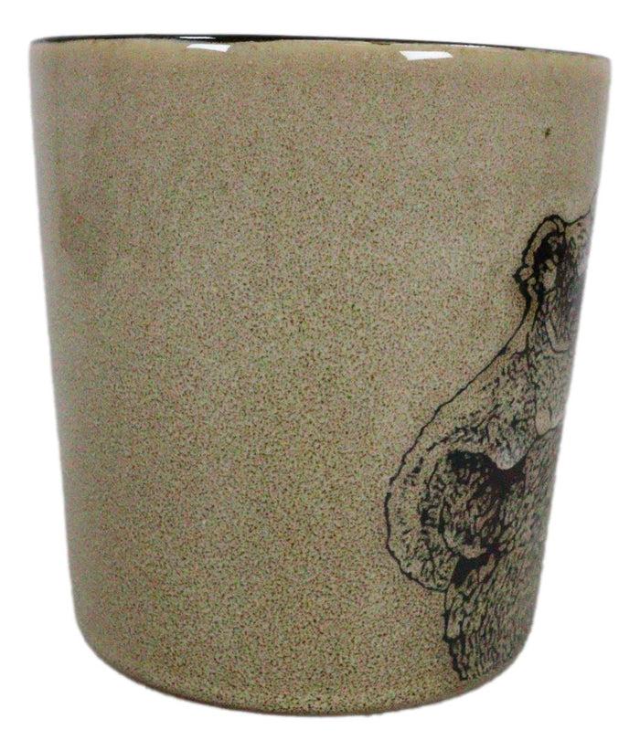 Ebros Gift Set Of 2 Native Wild Koala Bear Mother With Joey Ceramic Coffee Cup Mugs 16oz