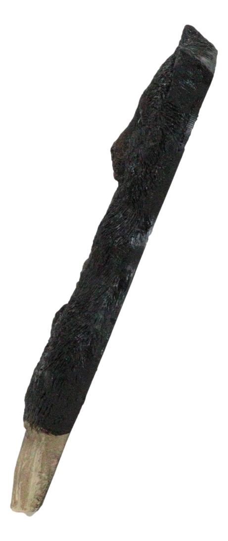 Ebros Gift Set Of 2 Rustic Black Bear Cub On Tree Wall Double Receptacle Outlet Plates