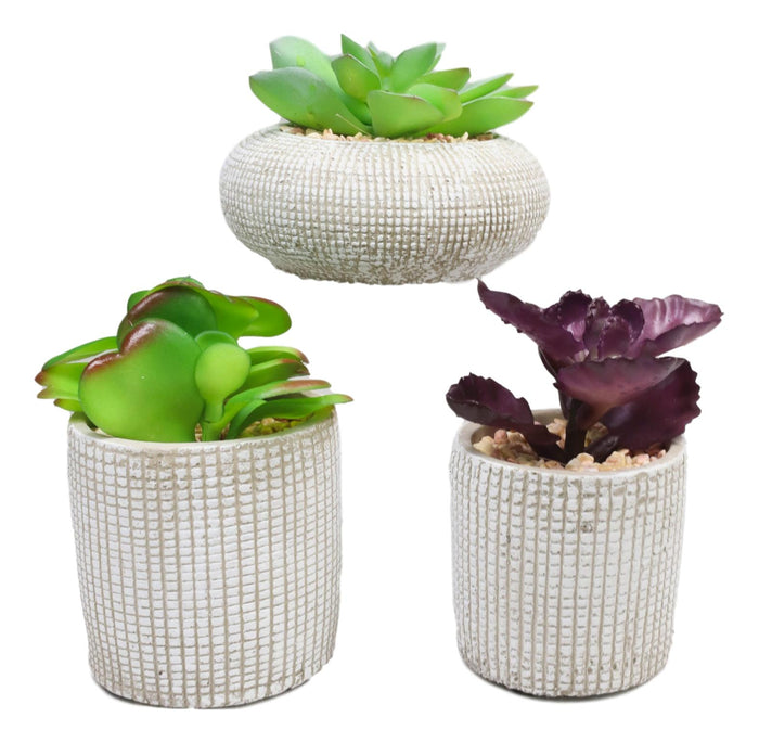 Ebros Gift Set Of 3 Colored Realistic Artificial Botanica Succulents Plant In Textured Pots