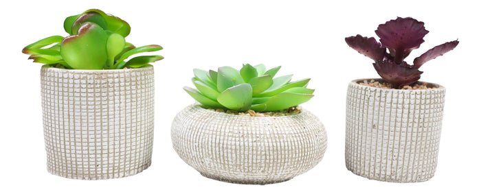 Ebros Gift Set Of 3 Colored Realistic Artificial Botanica Succulents Plant In Textured Pots