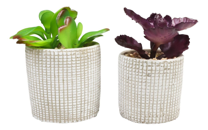 Ebros Gift Set Of 3 Colored Realistic Artificial Botanica Succulents Plant In Textured Pots