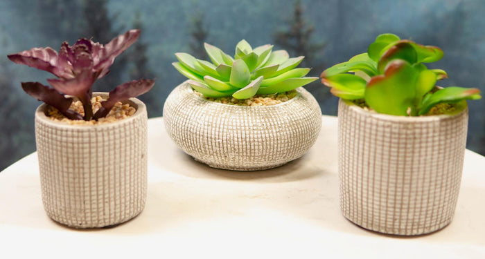 ebros gift Set Of 3 Colored Realistic Artificial Botanica Succulents Plant In Textured Pots