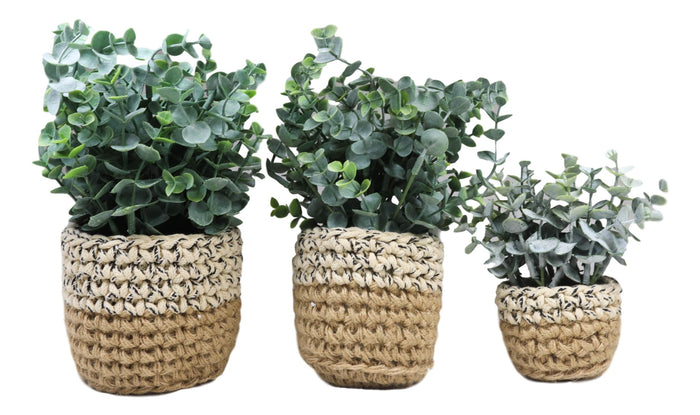 Ebros Gift Set Of 3 Realistic Artificial Botanica Fern Eucalyptus Plant In Chic Woven Pots