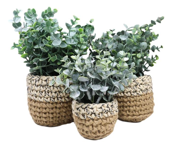 Ebros Gift Set Of 3 Realistic Artificial Botanica Fern Eucalyptus Plant In Chic Woven Pots