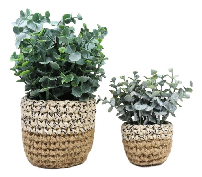 Ebros Gift Set Of 3 Realistic Artificial Botanica Fern Eucalyptus Plant In Chic Woven Pots