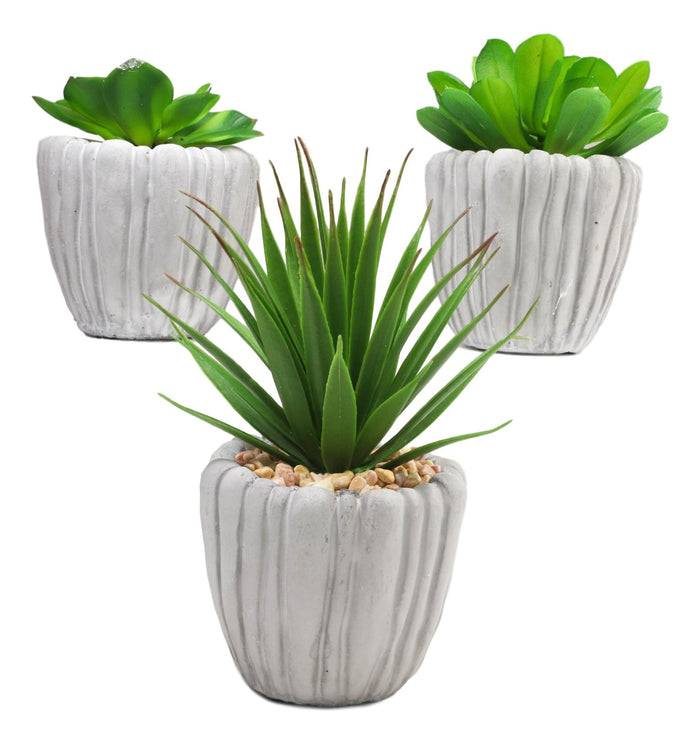 Ebros Gift Set Of 3 Realistic Artificial Botanica Fern Succulents Plant In Grey Cement Pots