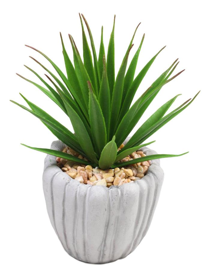 Ebros Gift Set Of 3 Realistic Artificial Botanica Fern Succulents Plant In Grey Cement Pots