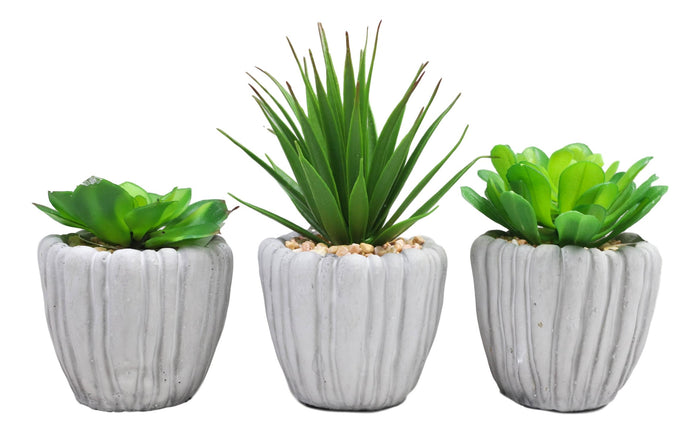 ebros gift Set Of 3 Realistic Artificial Botanica Fern Succulents Plant In Grey Cement Pots