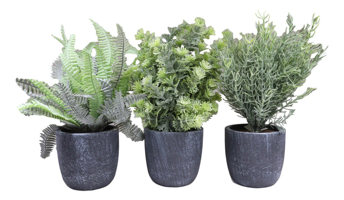Ebros Gift Set Of 3 Realistic Artificial Botanica Greenery Ferns In Faux Cement Pots 12"H