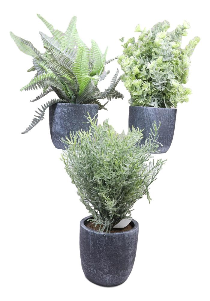 Ebros Gift Set Of 3 Realistic Artificial Botanica Greenery Ferns In Faux Cement Pots 12"H