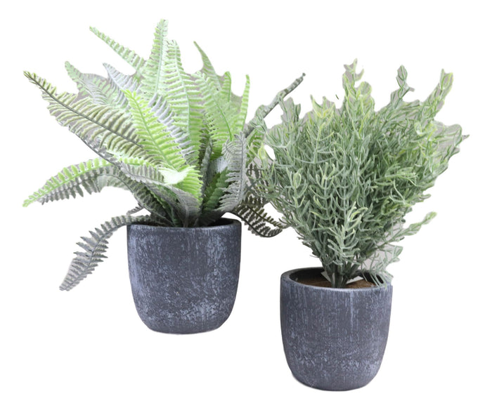 Ebros Gift Set Of 3 Realistic Artificial Botanica Greenery Ferns In Faux Cement Pots 12"H