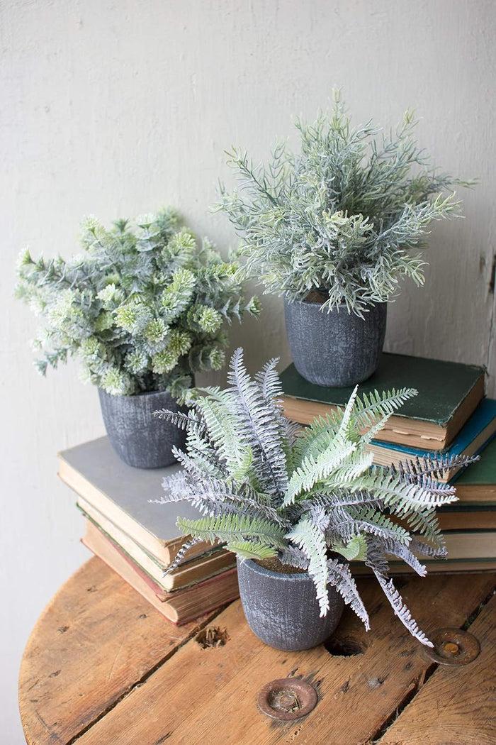 ebros gift Set of 3 Realistic Artificial Botanica Greenery Ferns in Faux Cement Pots 12"H