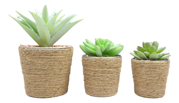 Ebros Gift Set Of 3 Realistic Artificial Botanica Plant Succulents In Jute Wrapped Tin Pots