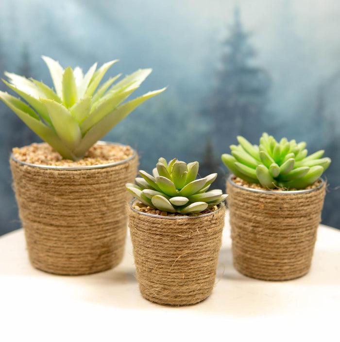 ebros gift Set Of 3 Realistic Artificial Botanica Plant Succulents In Jute Wrapped Tin Pots