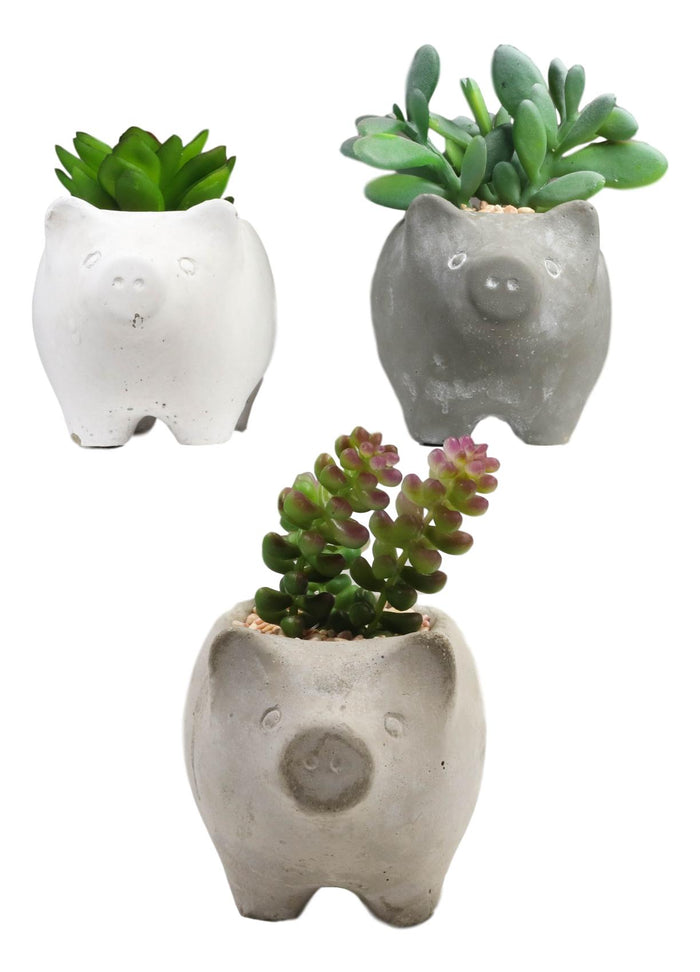 Ebros Gift Set Of 3 Realistic Artificial Botanica Succulents In Little Pigs Pot 5" High
