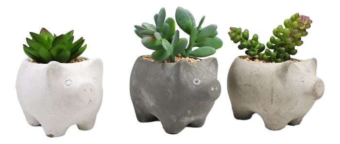 Ebros Gift Set Of 3 Realistic Artificial Botanica Succulents In Little Pigs Pot 5" High