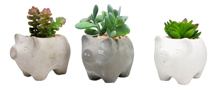 Ebros Gift Set Of 3 Realistic Artificial Botanica Succulents In Little Pigs Pot 5" High