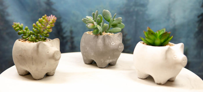 ebros gift Set of 3 Realistic Artificial Botanica Succulents in Little Pigs Pot 5" High