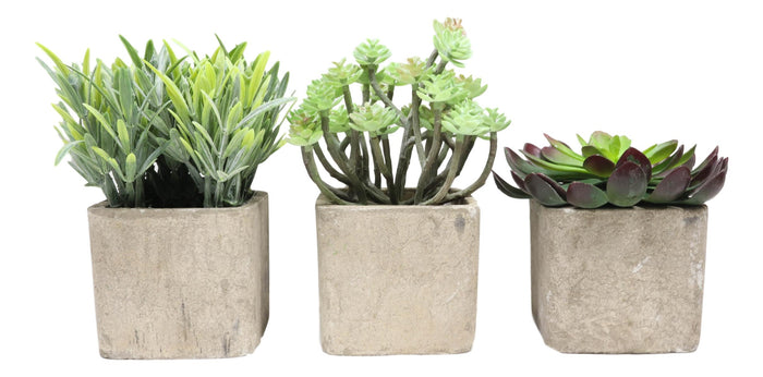 Ebros Gift Set Of 3 Realistic Lifelike Artificial Botanica Succulents In Square Pots 6"H
