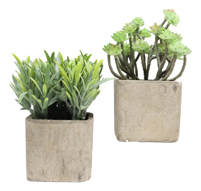 Ebros Gift Set Of 3 Realistic Lifelike Artificial Botanica Succulents In Square Pots 6"H