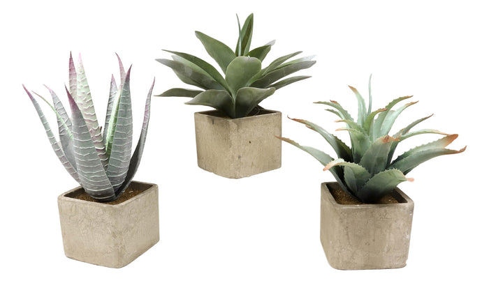 Ebros Gift Set Of 3 Realistic Lifelike Artificial Botanica Succulents In Square Pots 11"H