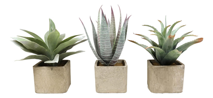 Ebros Gift Set Of 3 Realistic Lifelike Artificial Botanica Succulents In Square Pots 11"H