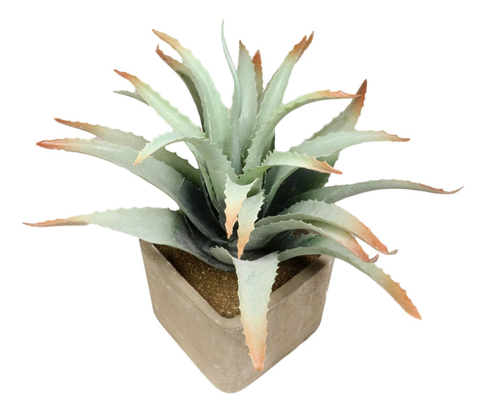 Ebros Gift Set Of 3 Realistic Lifelike Artificial Botanica Succulents In Square Pots 11"H