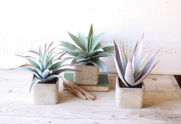 ebros gift Set Of 3 Realistic Lifelike Artificial Botanica Succulents In Square Pots 11"H