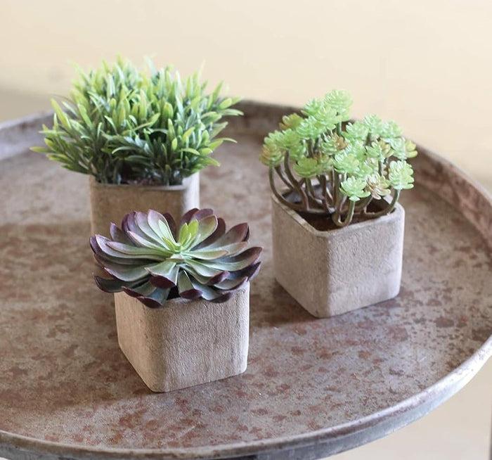 ebros gift Set Of 3 Realistic Lifelike Artificial Botanica Succulents In Square Pots 6"H