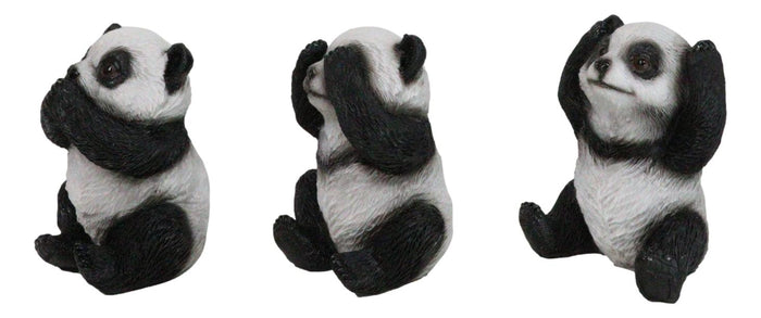 Ebros Gift Set Of 3 See Hear Speak No Evil Whimsical Giant Panda Bears Mini Figurines