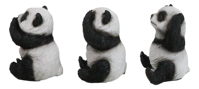 Ebros Gift Set Of 3 See Hear Speak No Evil Whimsical Giant Panda Bears Mini Figurines