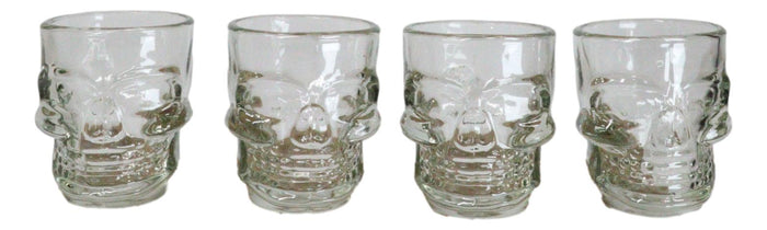 ebros gift Set of 4 Clear Glass Gothic Skeleton Skull Face Liquor Shot Glasses Shooters