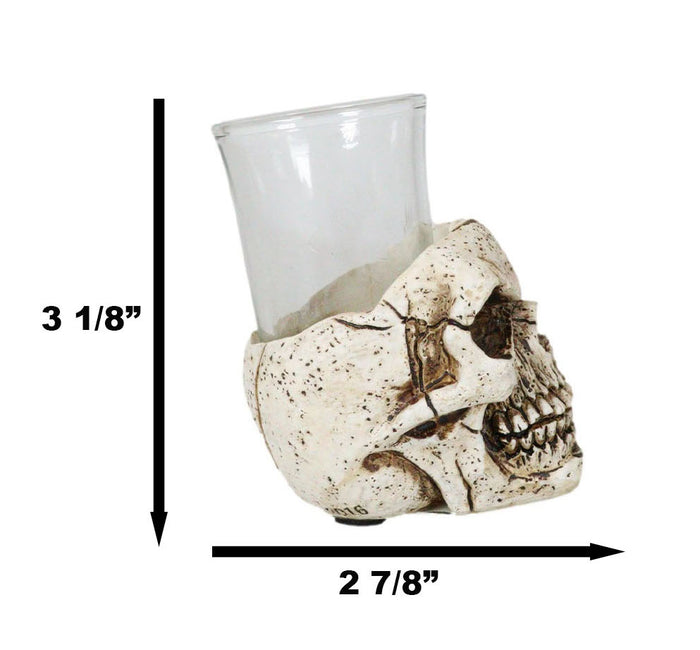 Ebros Gift Set Of 4 Gothic Graveyard Macabre Grinning Evil Skull Shot Glass Holder Figurine