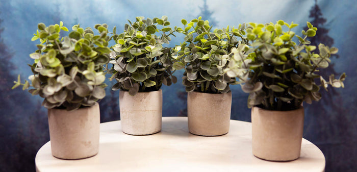 Ebros Gift Set Of 4 Realistic Artificial Botanica Boxwood Sage Bush Plant In Concrete Pots