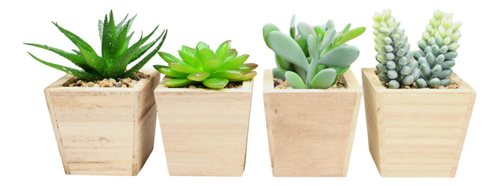 Ebros Gift Set Of 4 Realistic Artificial Botanica Green Succulents In Wooden Pots 4.75"H