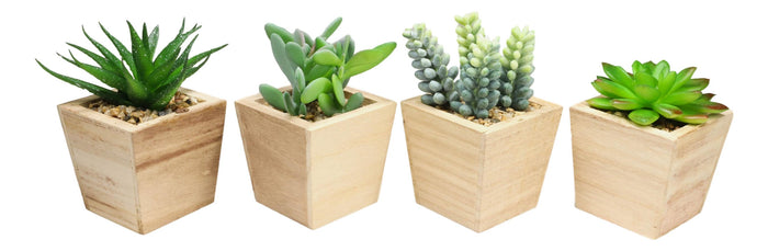 Ebros Gift Set Of 4 Realistic Artificial Botanica Green Succulents In Wooden Pots 4.75"H