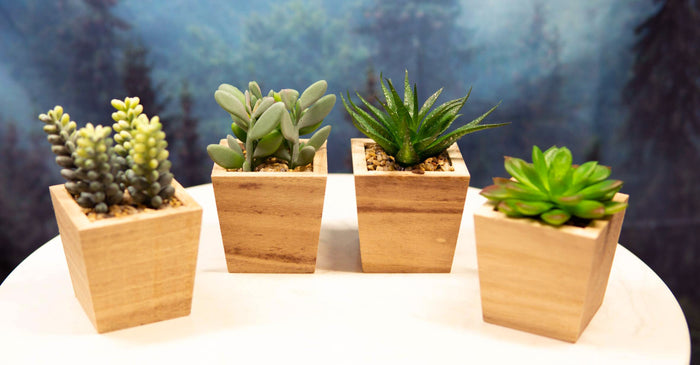 ebros gift Set of 4 Realistic Artificial Botanica Green Succulents In Wooden Pots 4.75"H
