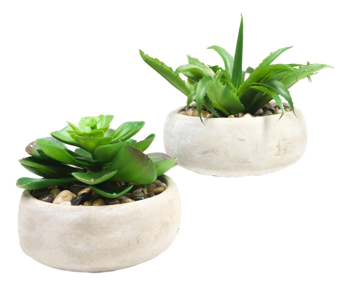 Ebros Gift Set Of 4 Realistic Artificial Botanica Plants Succulents In Cement Pot 7"Dia