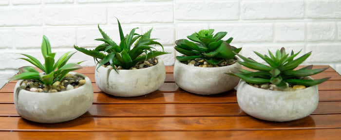 ebros gift Set of 4 Realistic Artificial Botanica Plants Succulents in Cement Pot 7"Dia