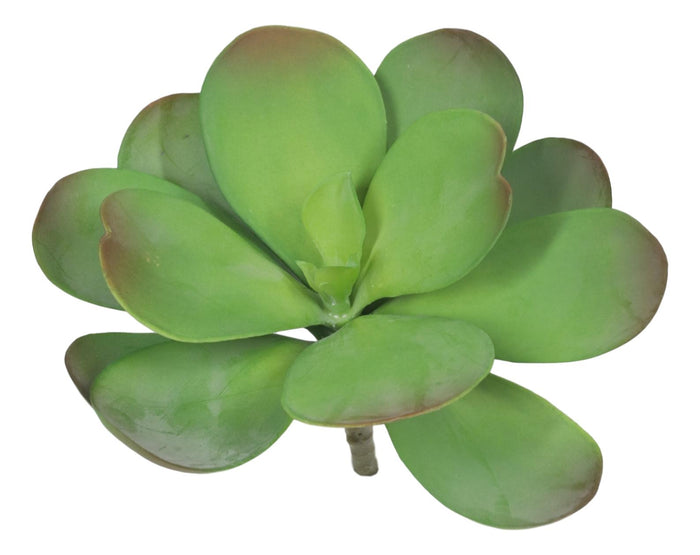Ebros Gift Set Of 5 Realistic Artificial Faux Botanica Paddle Plants Fern Grass Succulents