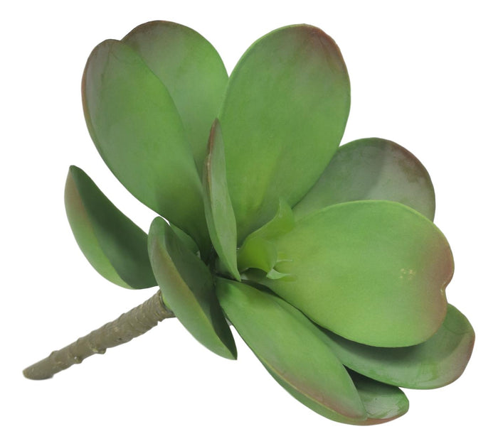 Ebros Gift Set Of 5 Realistic Artificial Faux Botanica Paddle Plants Fern Grass Succulents