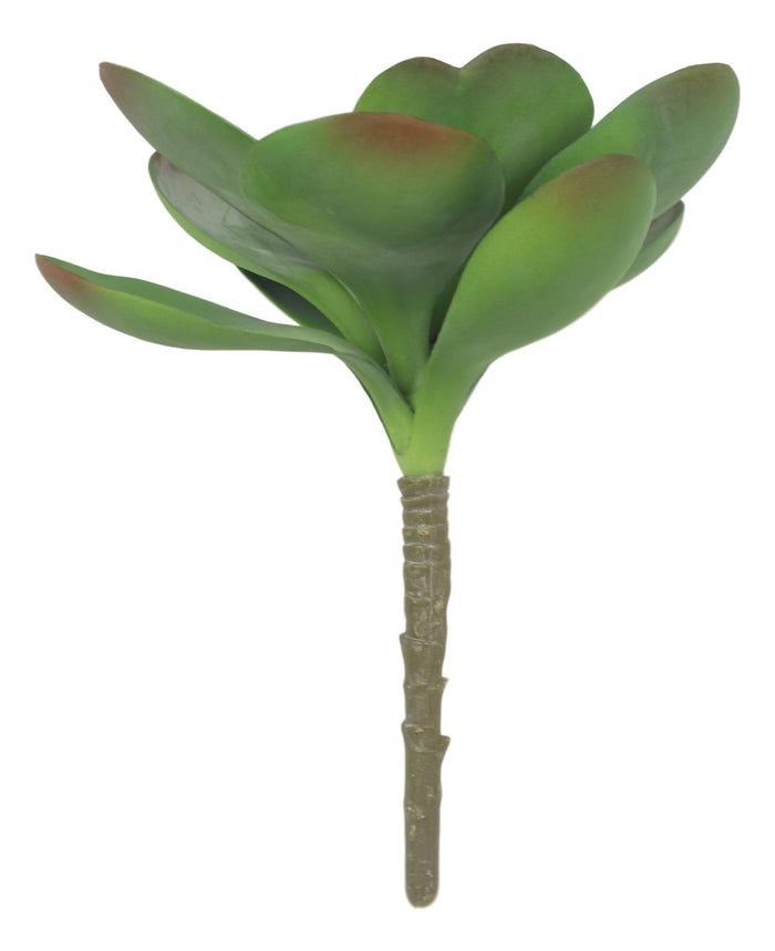 Ebros Gift Set Of 5 Realistic Artificial Faux Botanica Paddle Plants Fern Grass Succulents