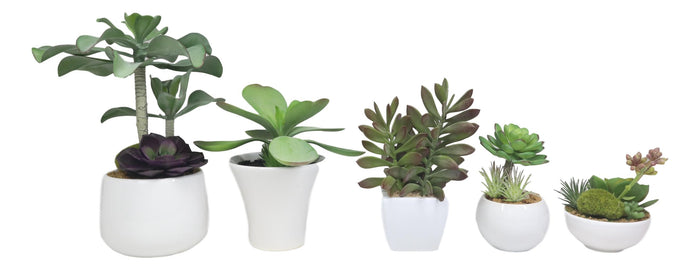 Ebros Gift Set Of 5 Realistic Artificial Faux Botanica Succulents In Ceramic Mini Pots