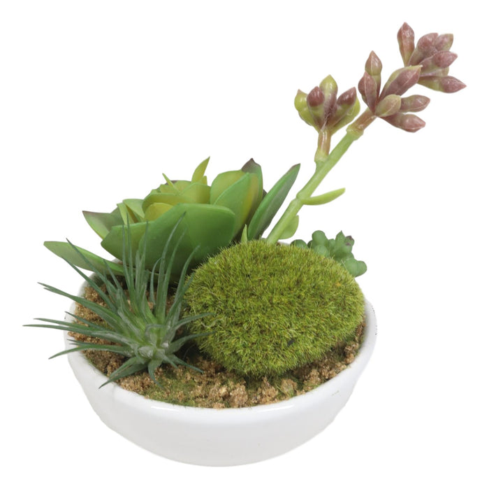 Ebros Gift Set Of 5 Realistic Artificial Faux Botanica Succulents In Ceramic Mini Pots