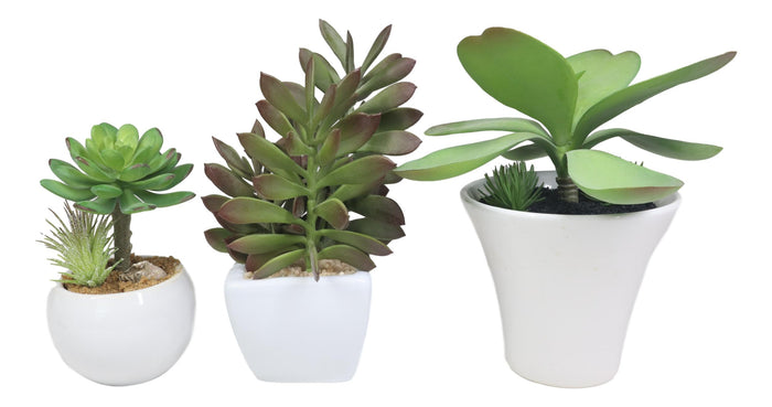 Ebros Gift Set Of 5 Realistic Artificial Faux Botanica Succulents In Ceramic Mini Pots
